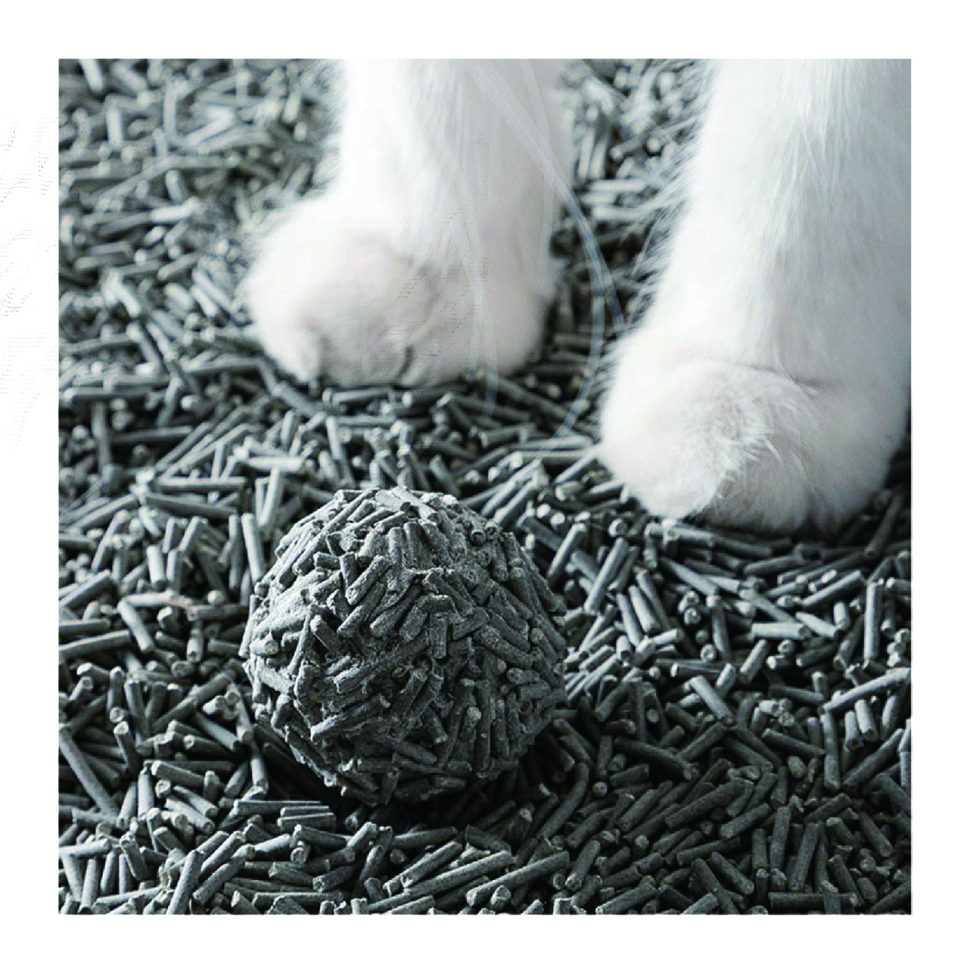 Quickly Flushable Odor Control OEM Natural Scented Deodorization Activated Carbon Tofu Cat Litter