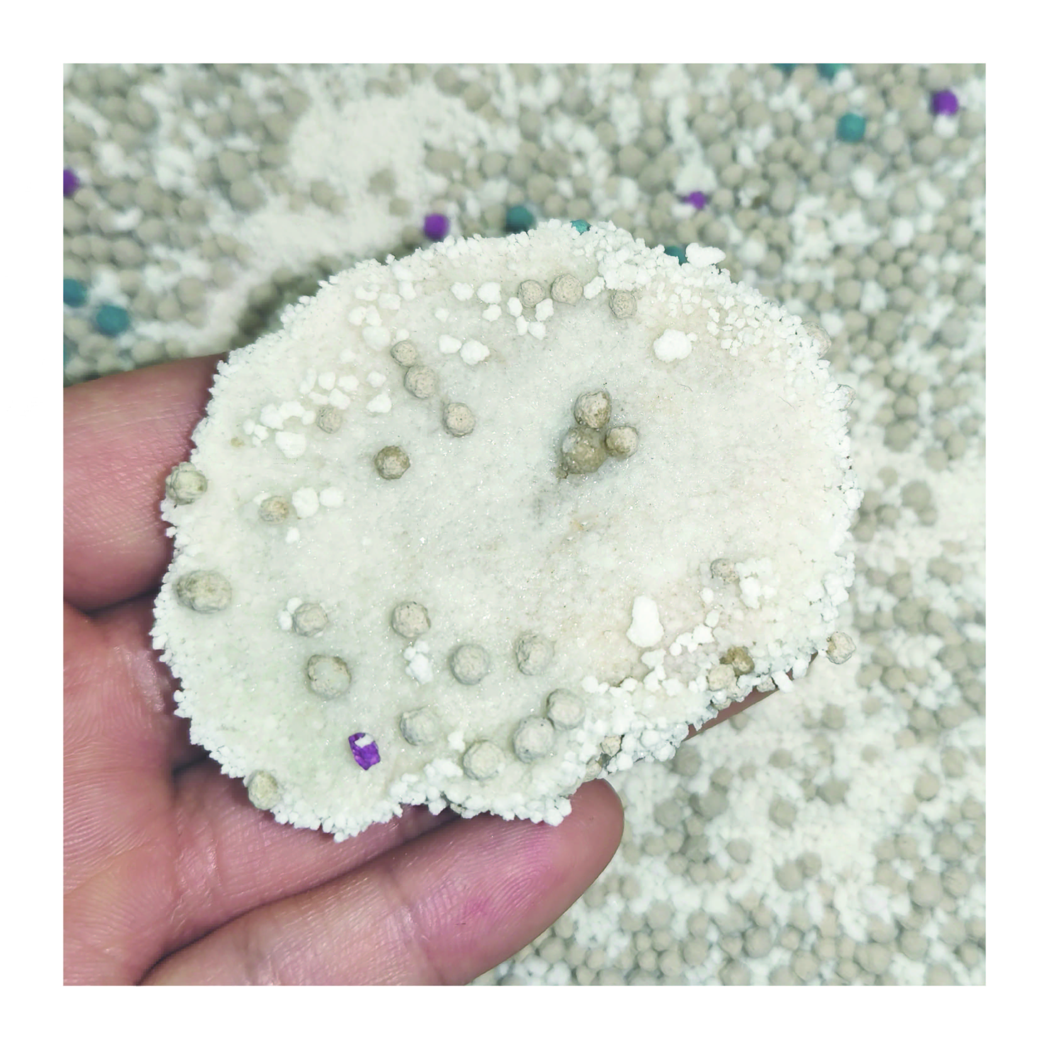 Dust-Free Deodorization Premium Quality Clumping Factory Custom Natural Cassava Bentonite Mixed Cat Litter