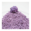 Lavender Cat Litter