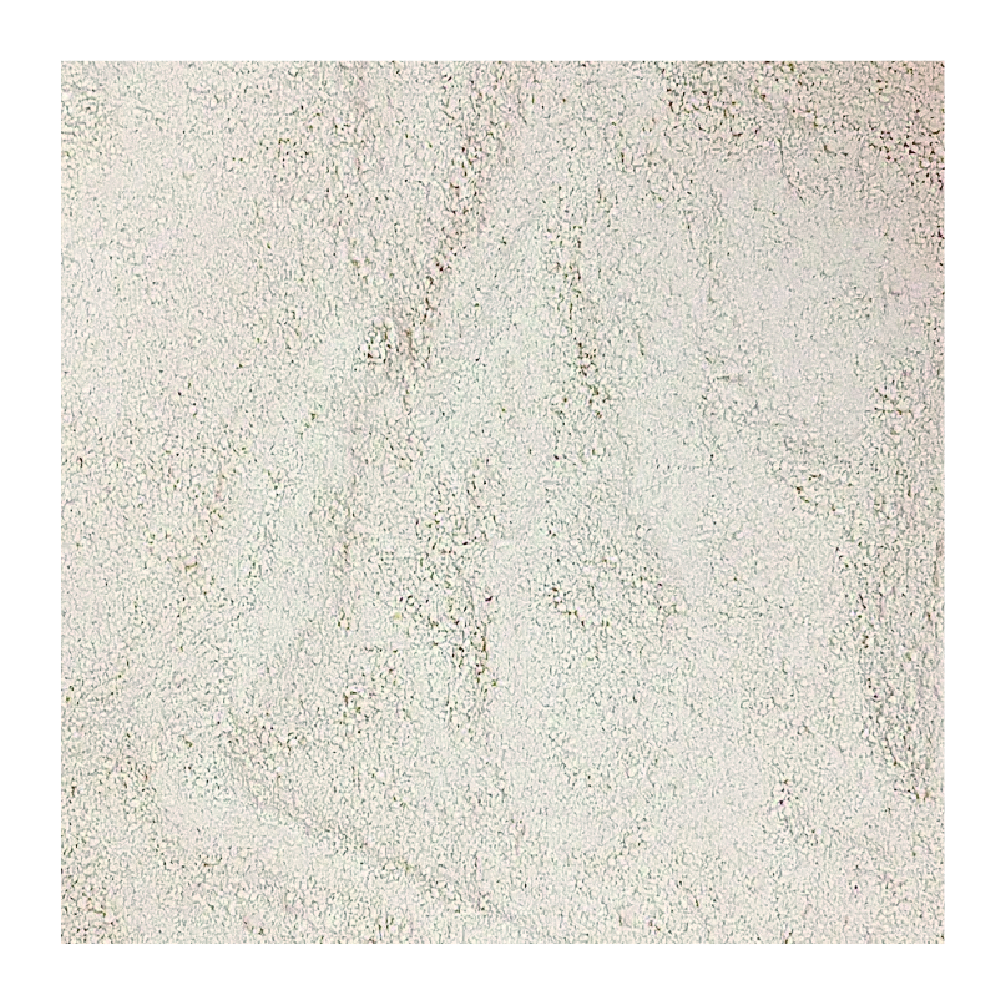 High Sales Cassava Cat Litter 100% Natural Sand High Quality Strong Clumping Dust-Free High Quality 