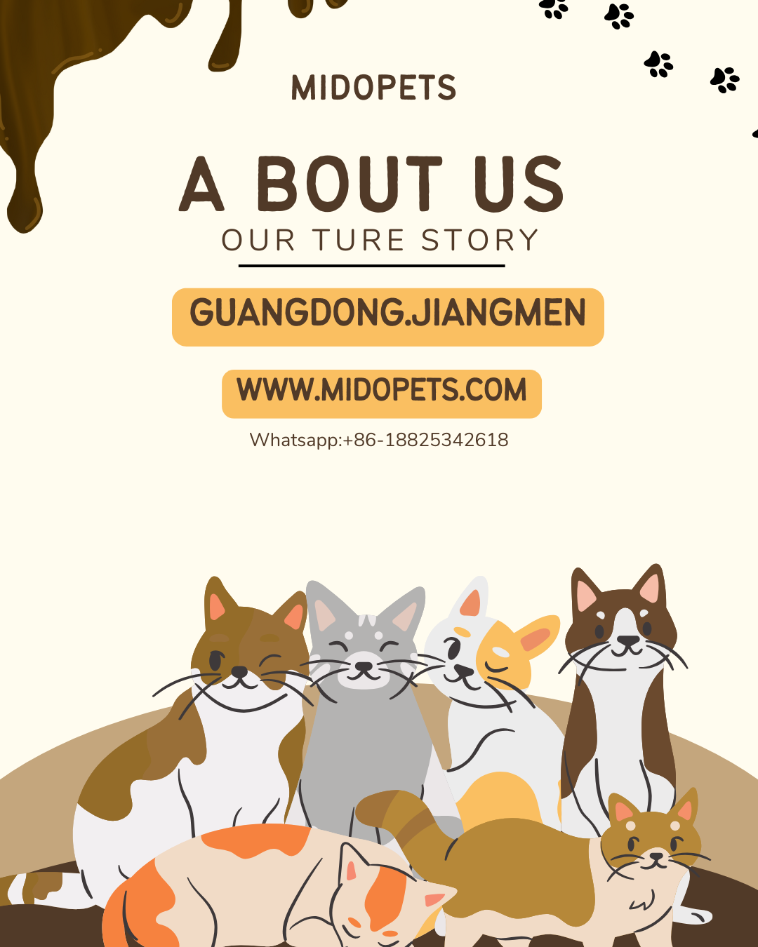 Mido's story