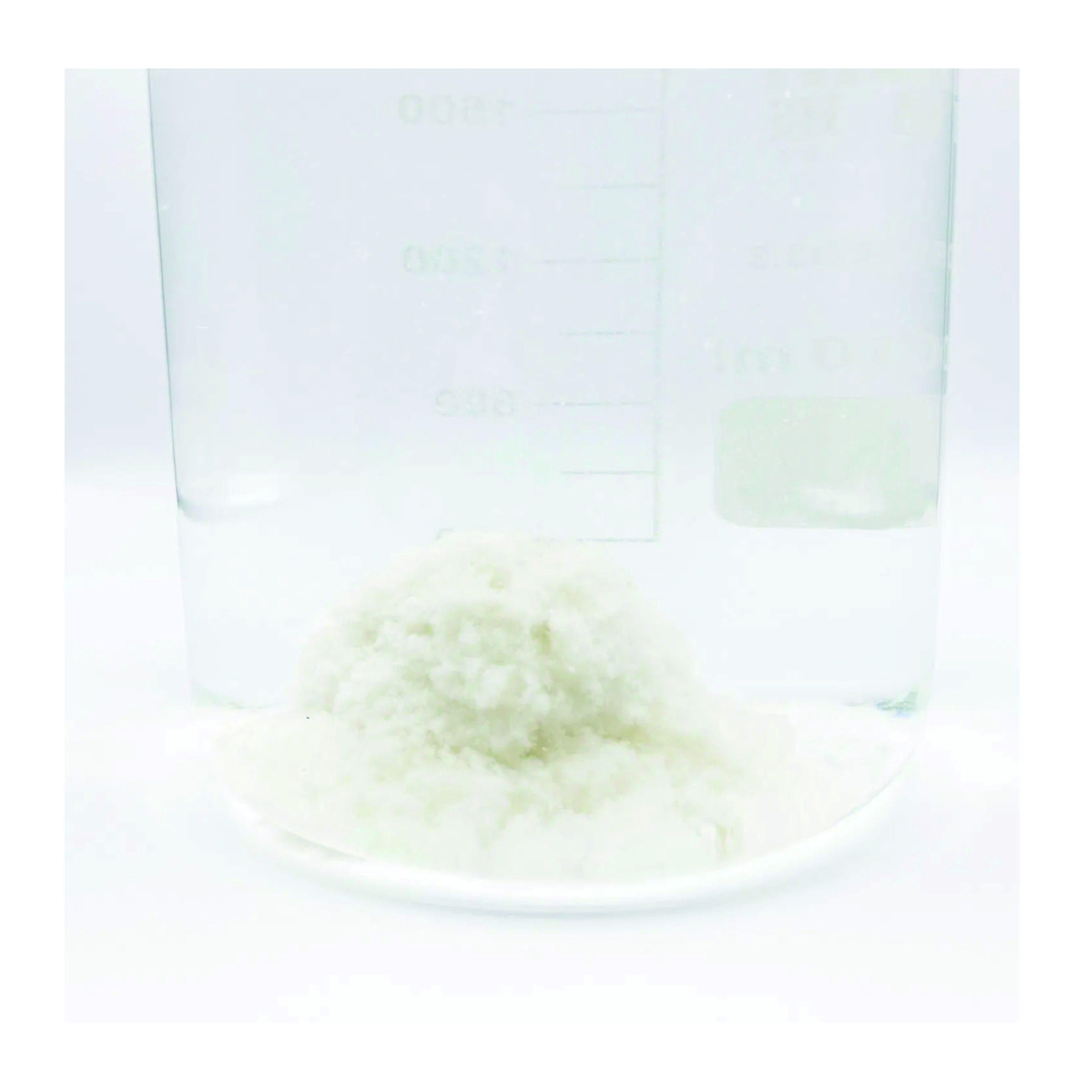 OEM ODM Cat Pet Product Cat Litter Tofu Cat Litter Eco-Friendly Factory Wholesales Custom