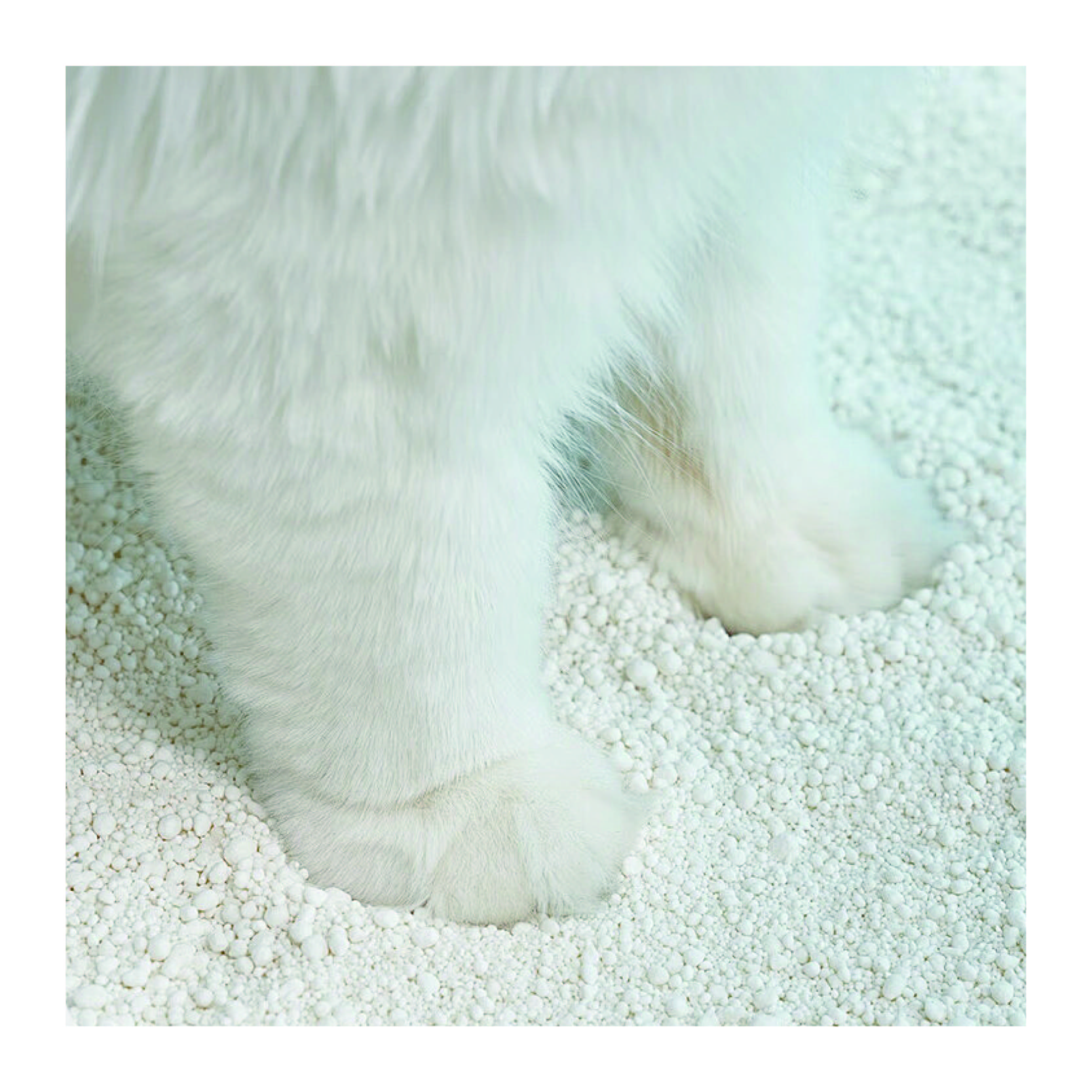 Eco-Friendly Natural Ingredients Ultra-Absorbent Dust-Free And Highly Clumping Tapioca Cat Litter