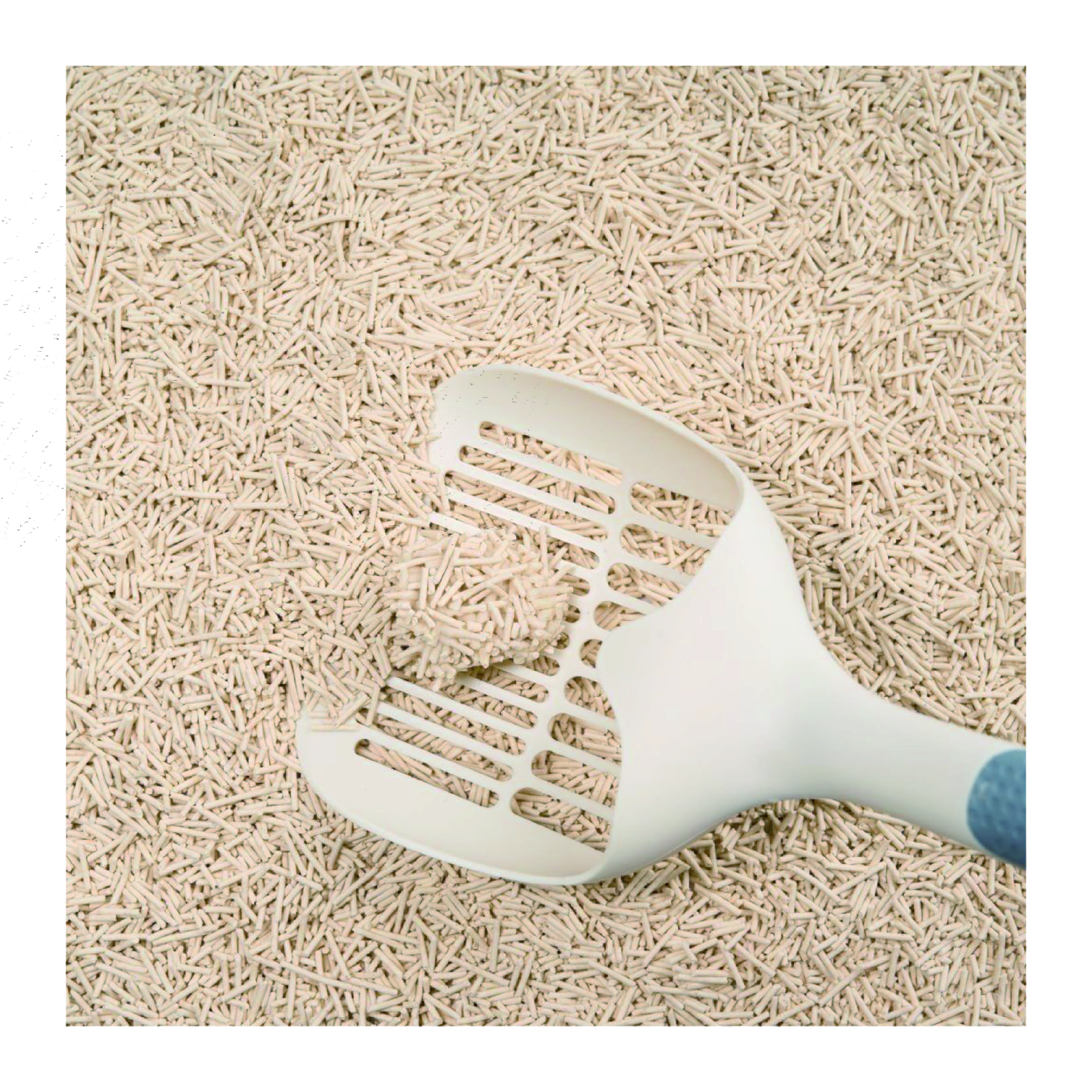 100% Natural Sand High Quality Dust-Free Highly Absorbent Odor Control Strong Clumping Eco Friendly Tofu Cat Litter