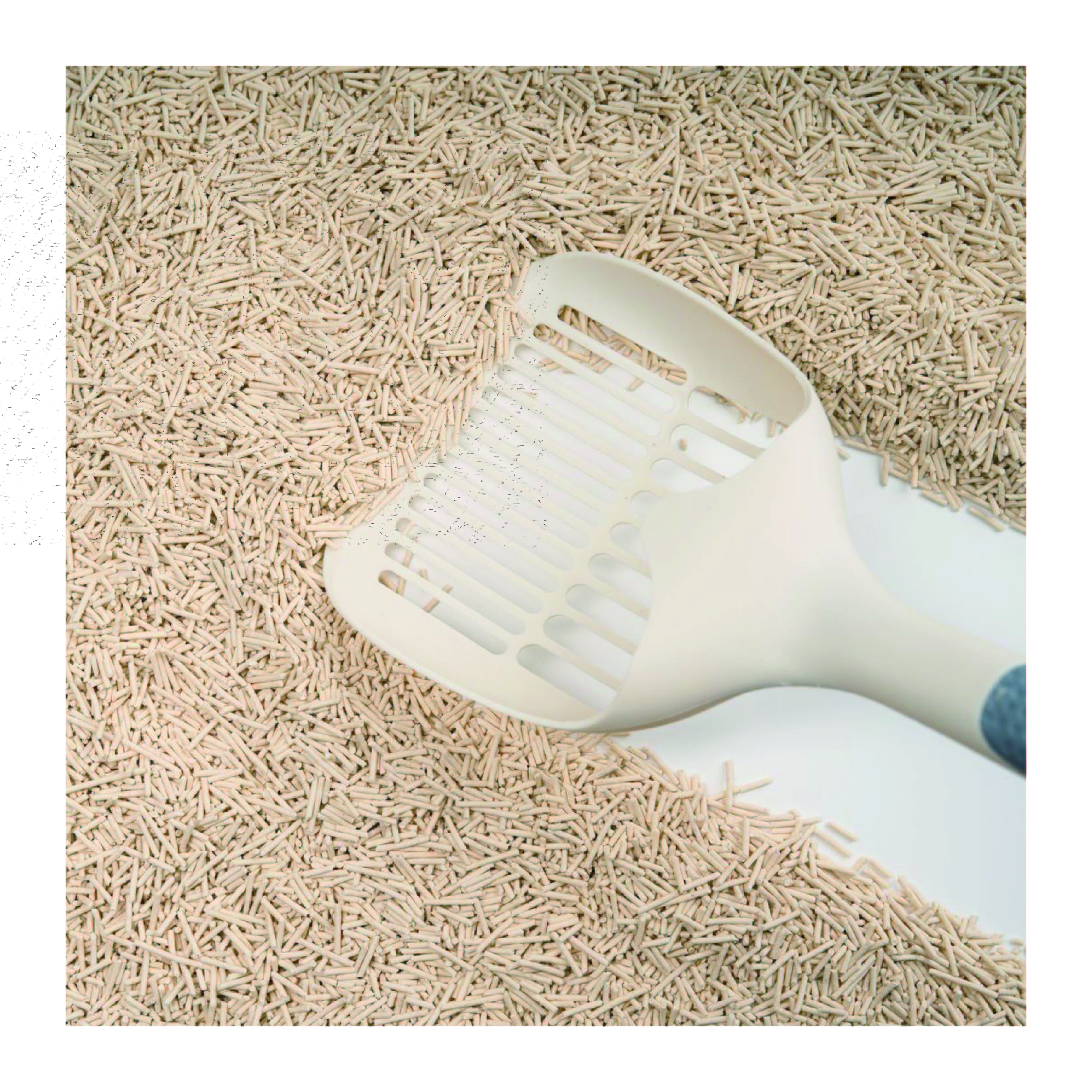 OEM/ODM Highly Absorbent Odor Control Strong Clumping Eco Friendly Tofu Cat Litter
