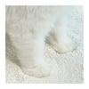 Cassava Cat Litter Efficient Odor Control OEM&ODM Export High Quality Cassava Cat Litter Factory Supplier