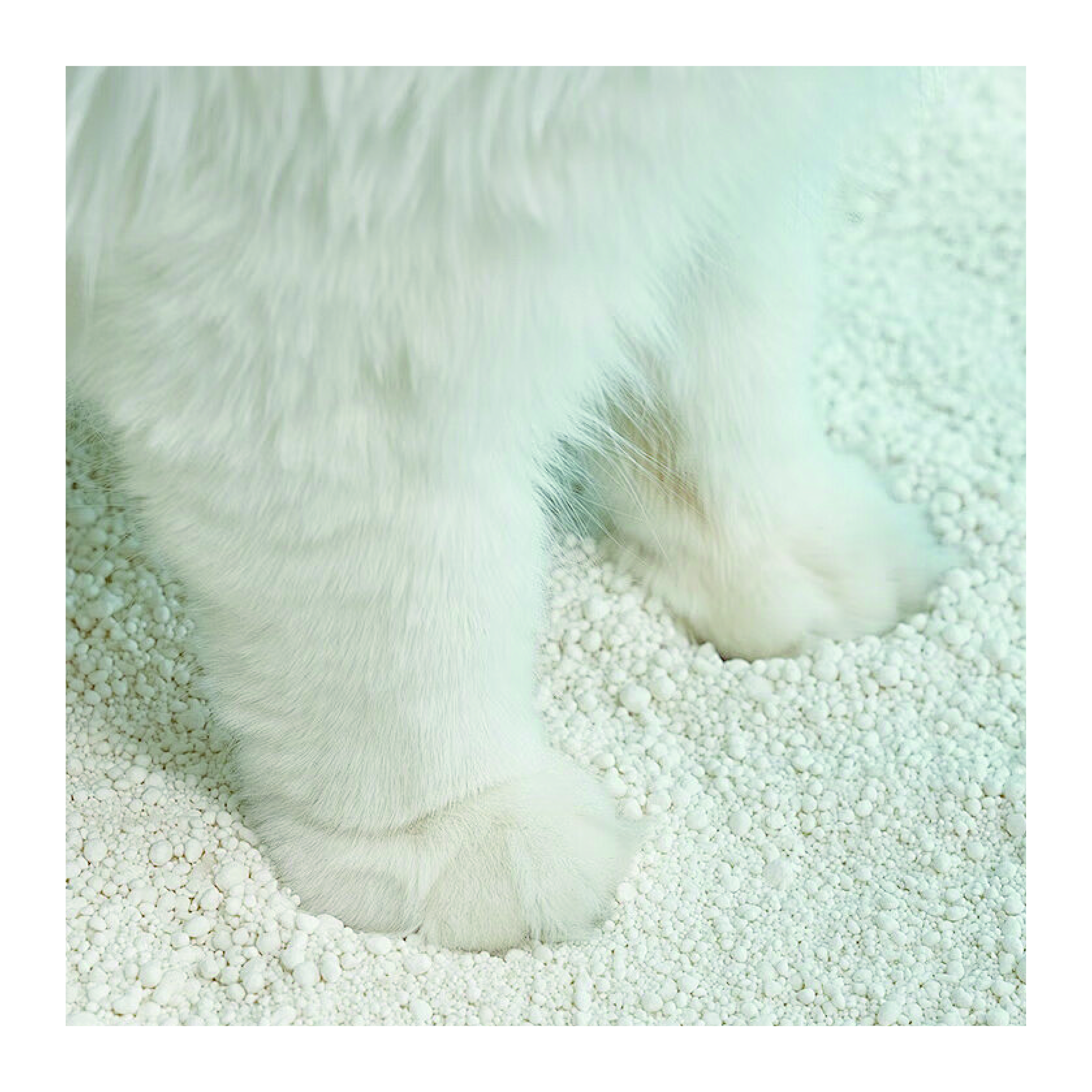 Cassava Cat Litter Efficient Odor Control OEM&ODM Export High Quality Cassava Cat Litter Factory Supplier