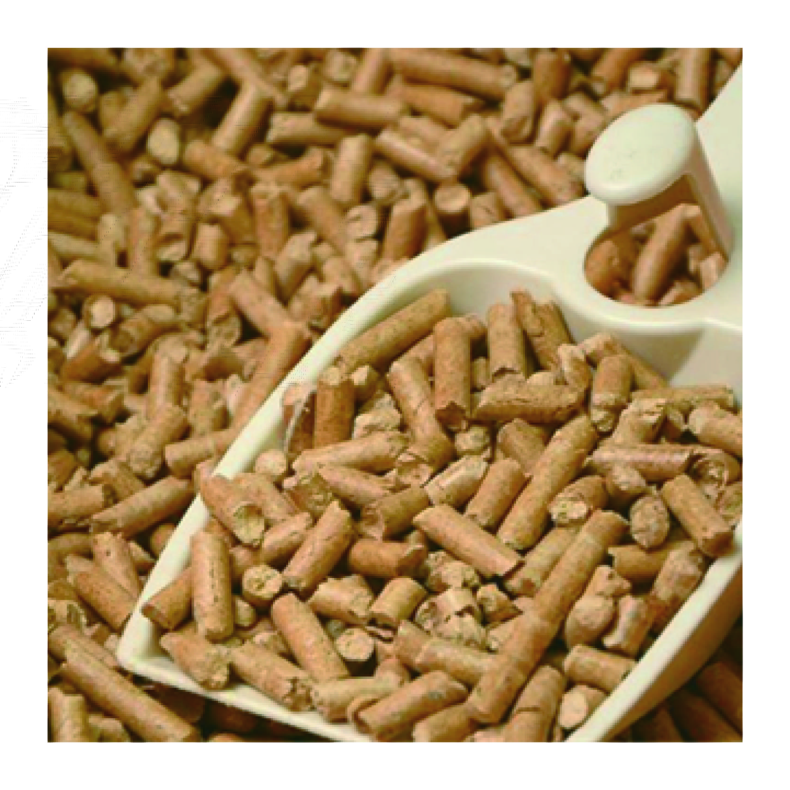 Pine Wood Cat Litter