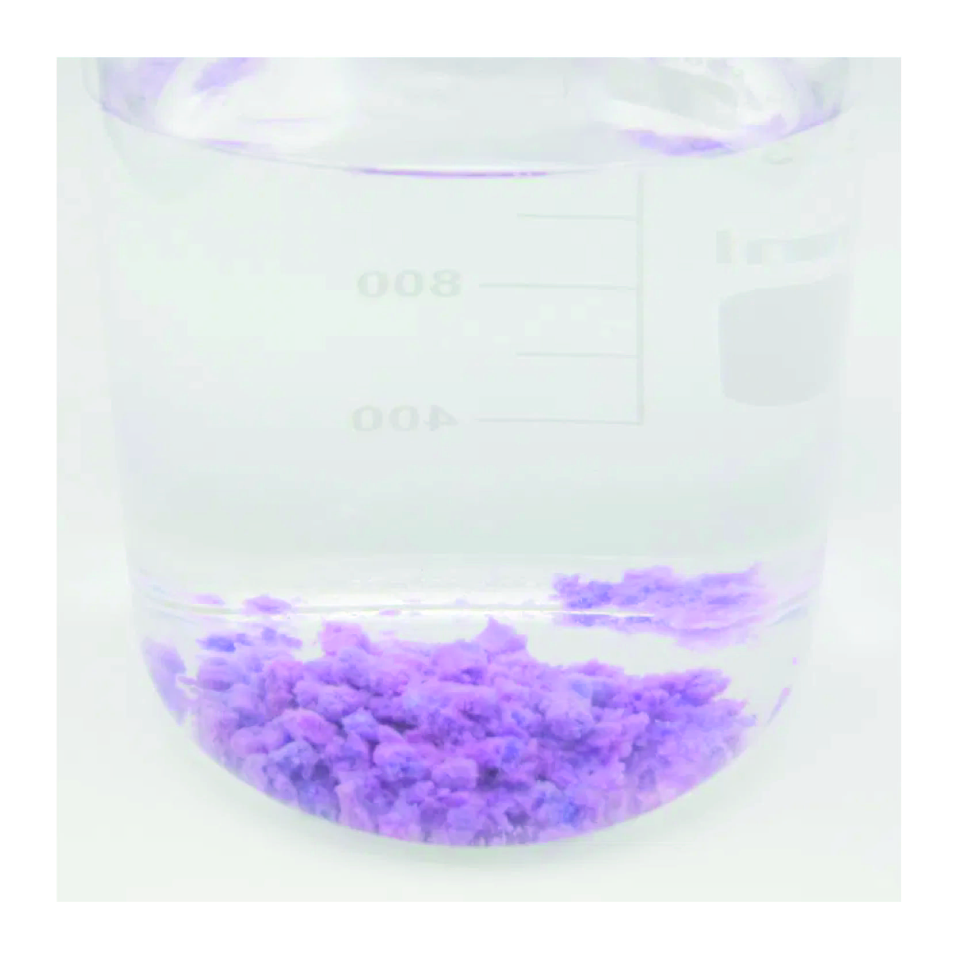 Lavender Cat Litter