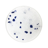 OEM ODM Factory Wholesale PH Health Care Silica Gel Crystal Cat Litter
