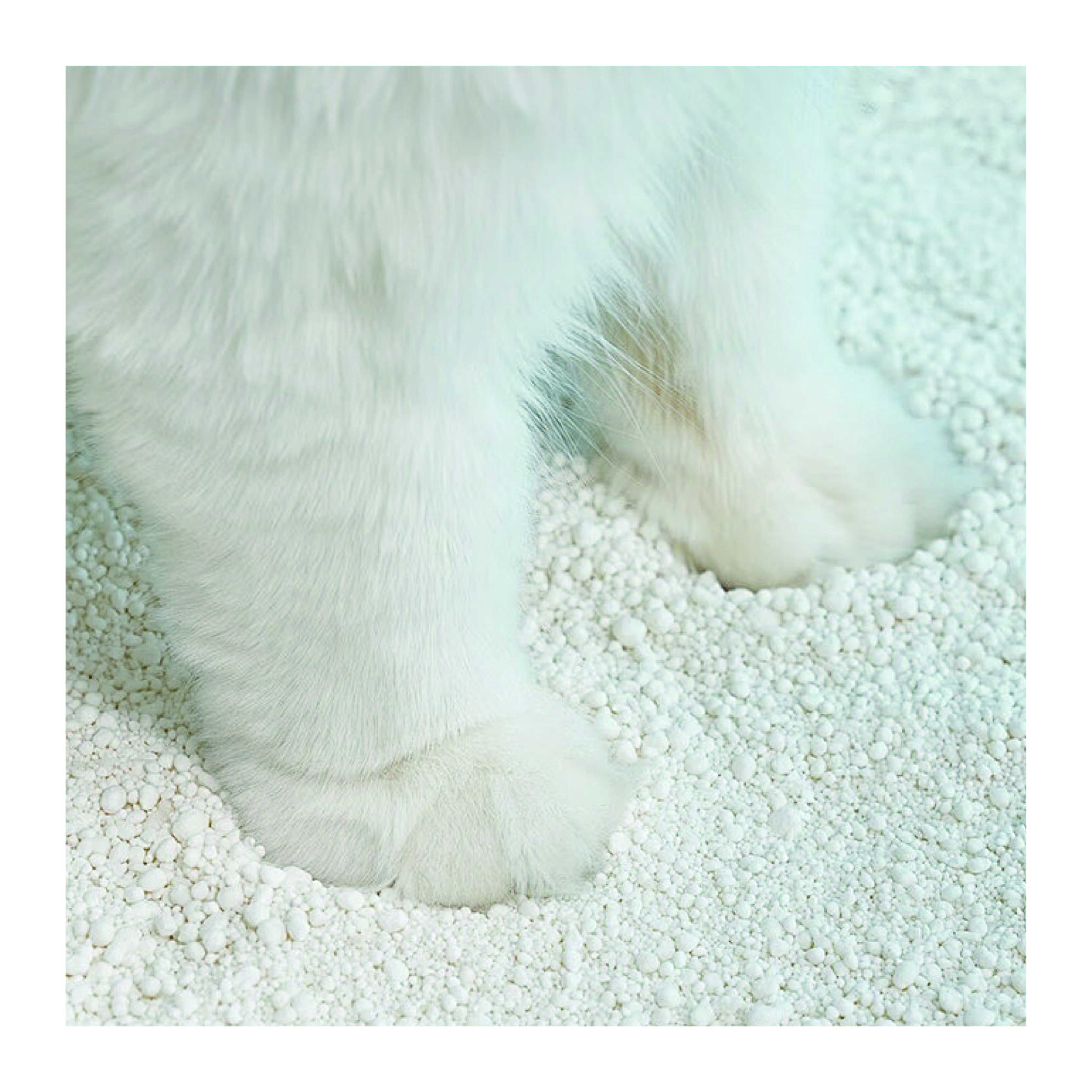Adequate Stock Biodegradable Wholesale Easy To Clean Eco-Friendly Highly Absorbent Cassava Cat Litter