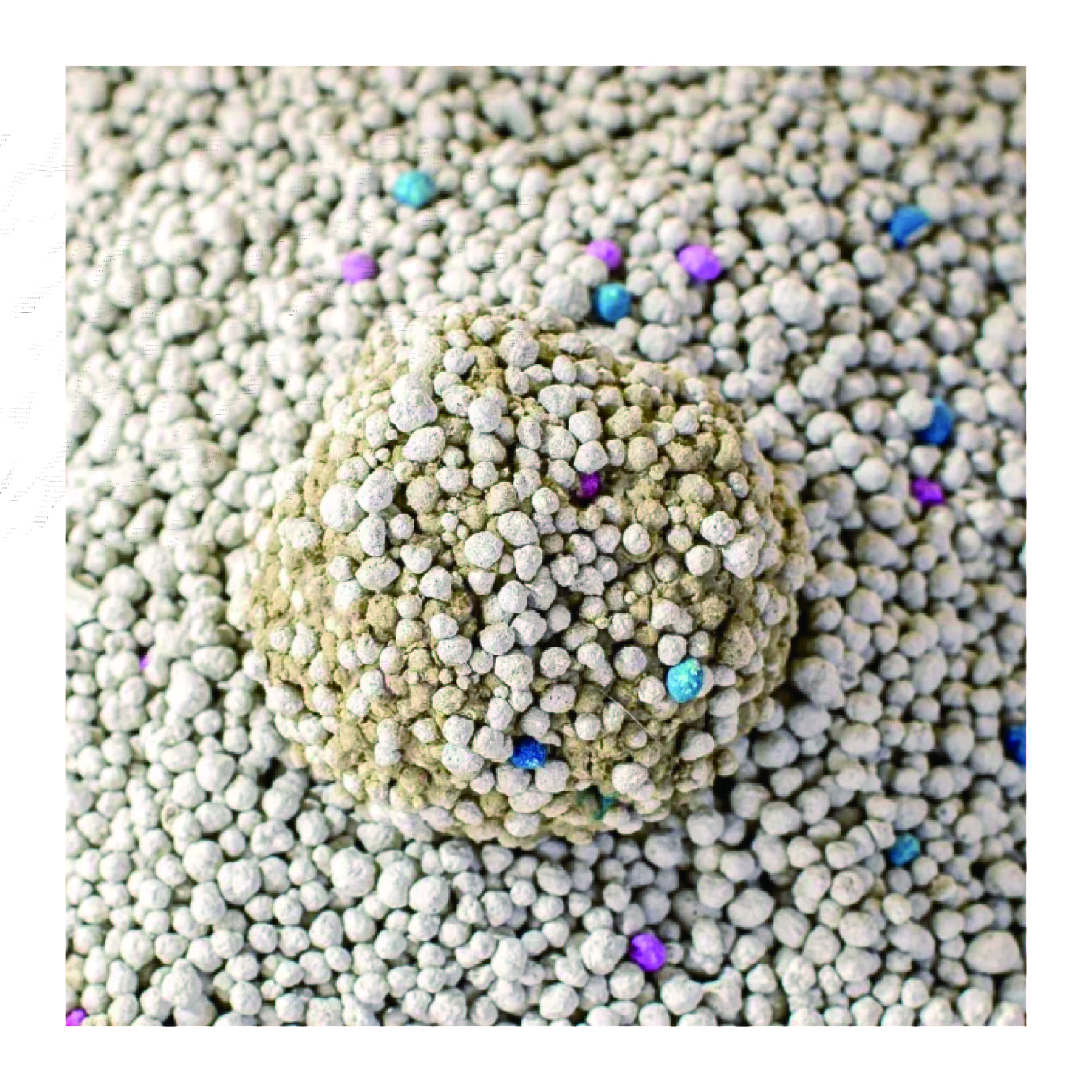 Dust-free Customized Scent Spherical Bentonite Cat Litter Strong Caking Deodorization