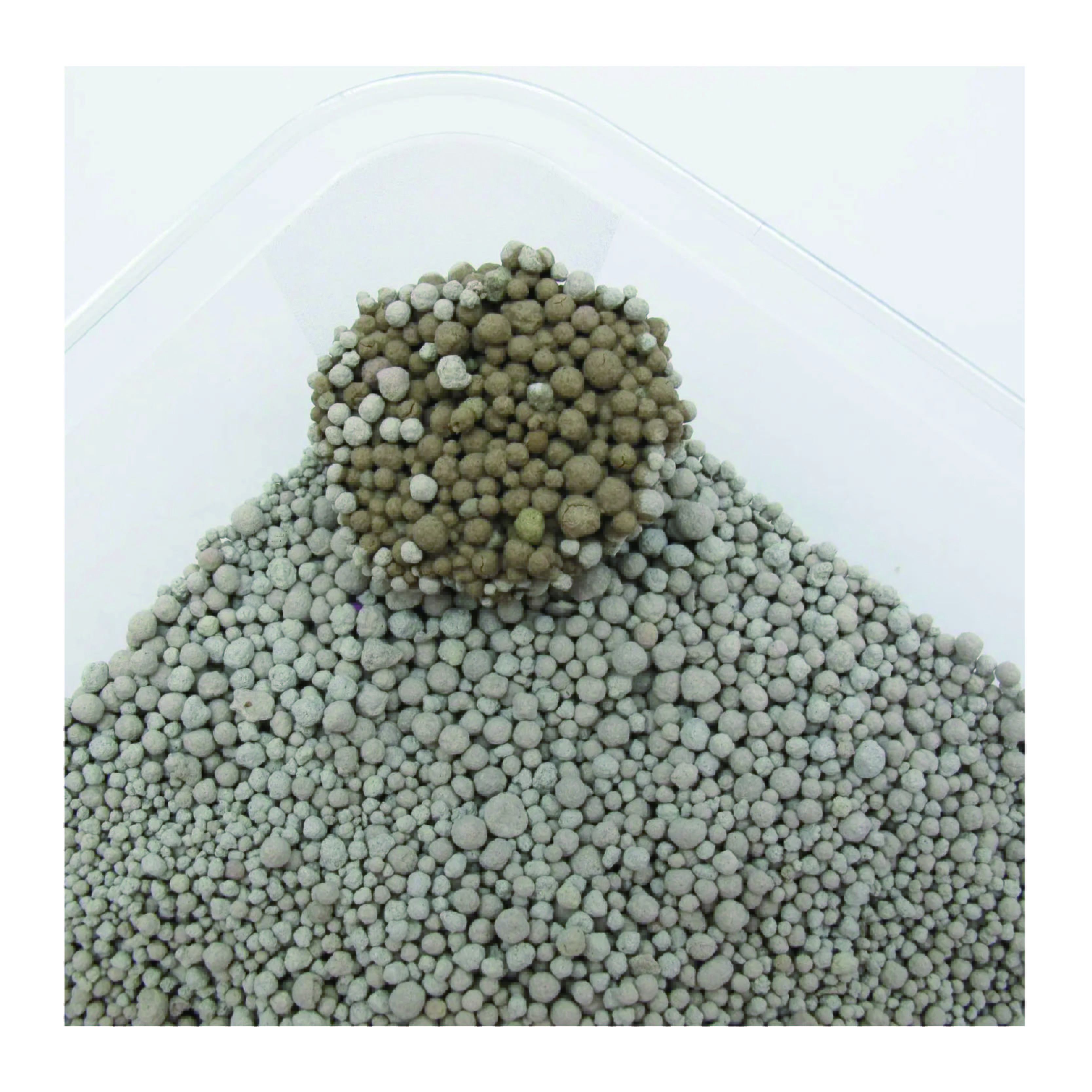 OEM ODM Natural Cat Litter Super Absorbent Bentonite Cat Sand Clumping Dust-Free Odor Control 10L Easy Clean Bentonite Cat Litter