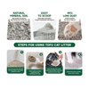 Dust-free Customized Scent Spherical Bentonite Cat Litter Strong Caking Deodorization