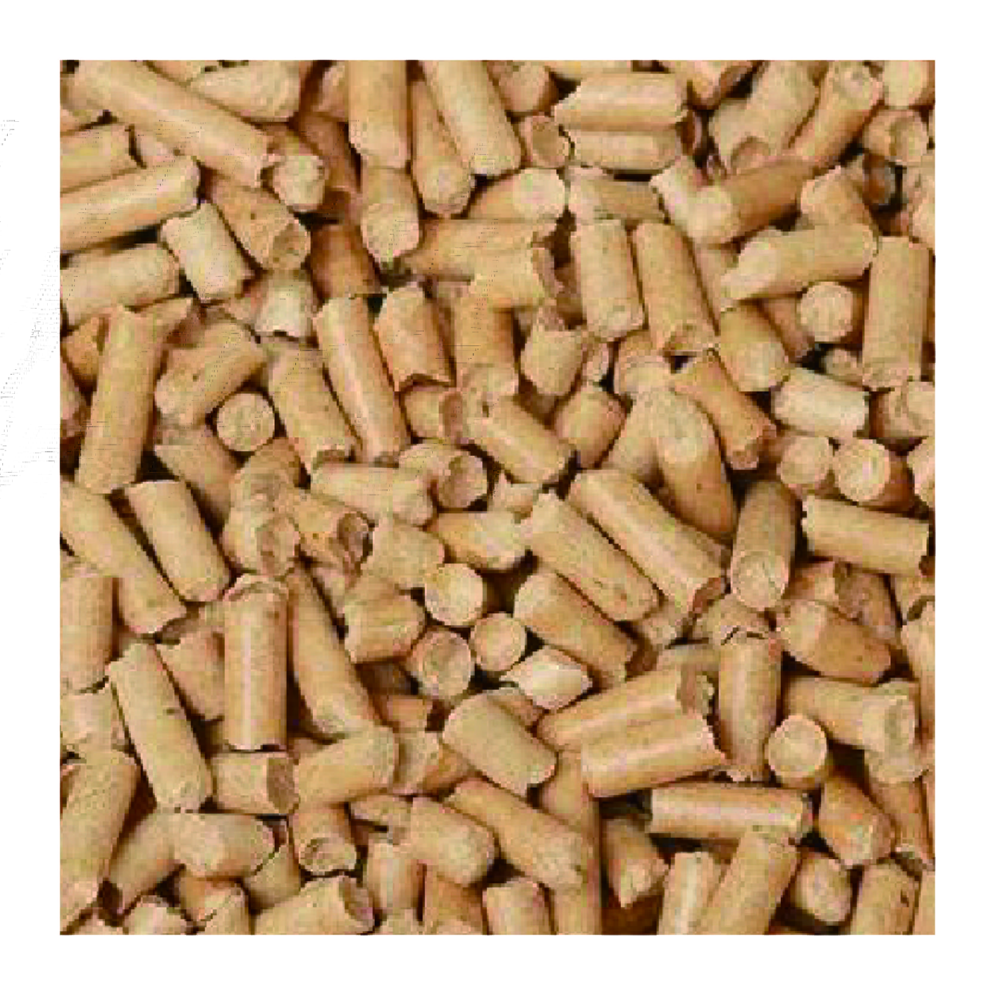 Pine Wood Cat Litter