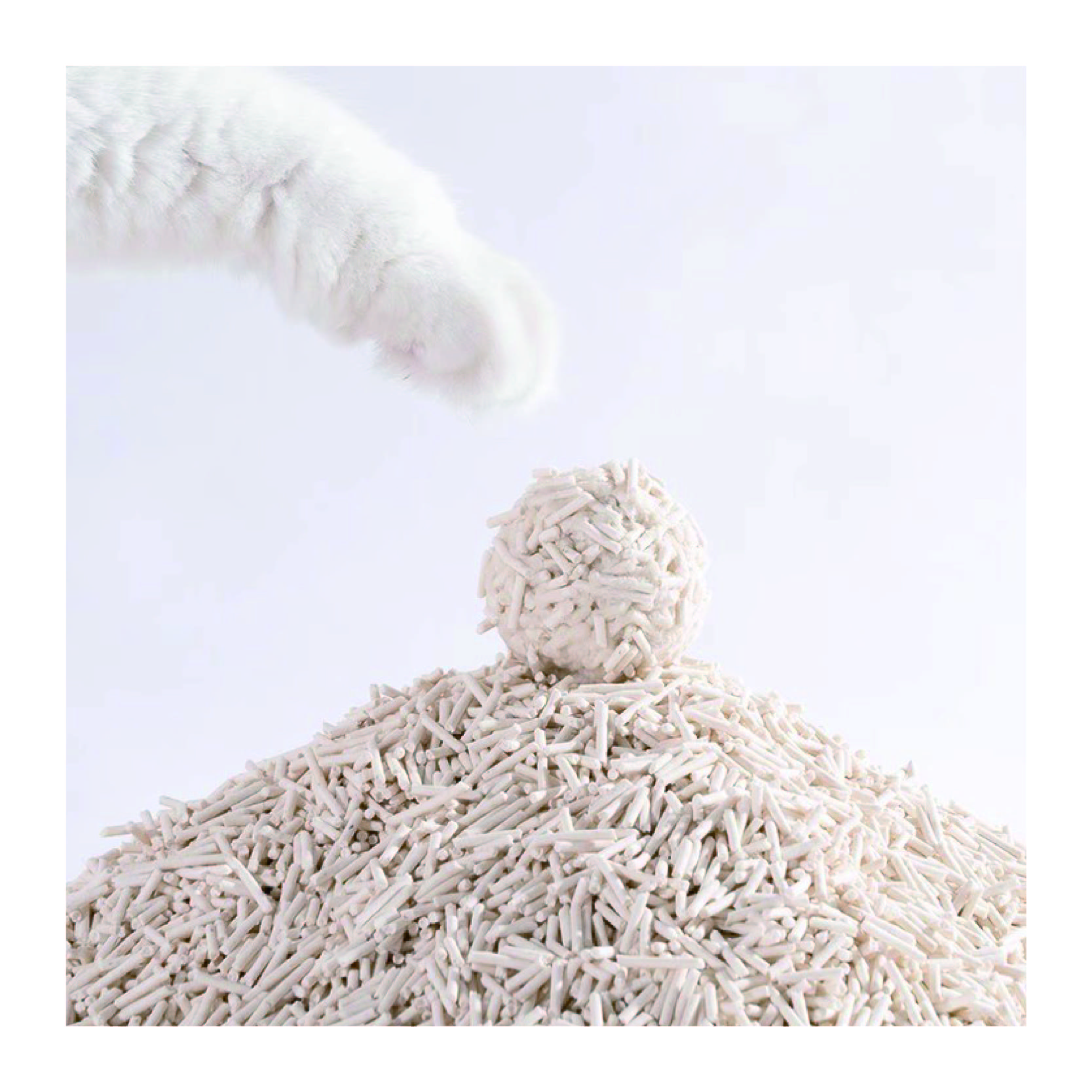 Factory OEM ODM Hot Sale Strong Deodorization Clumping Dust Free 7L Tofu Cat Litter