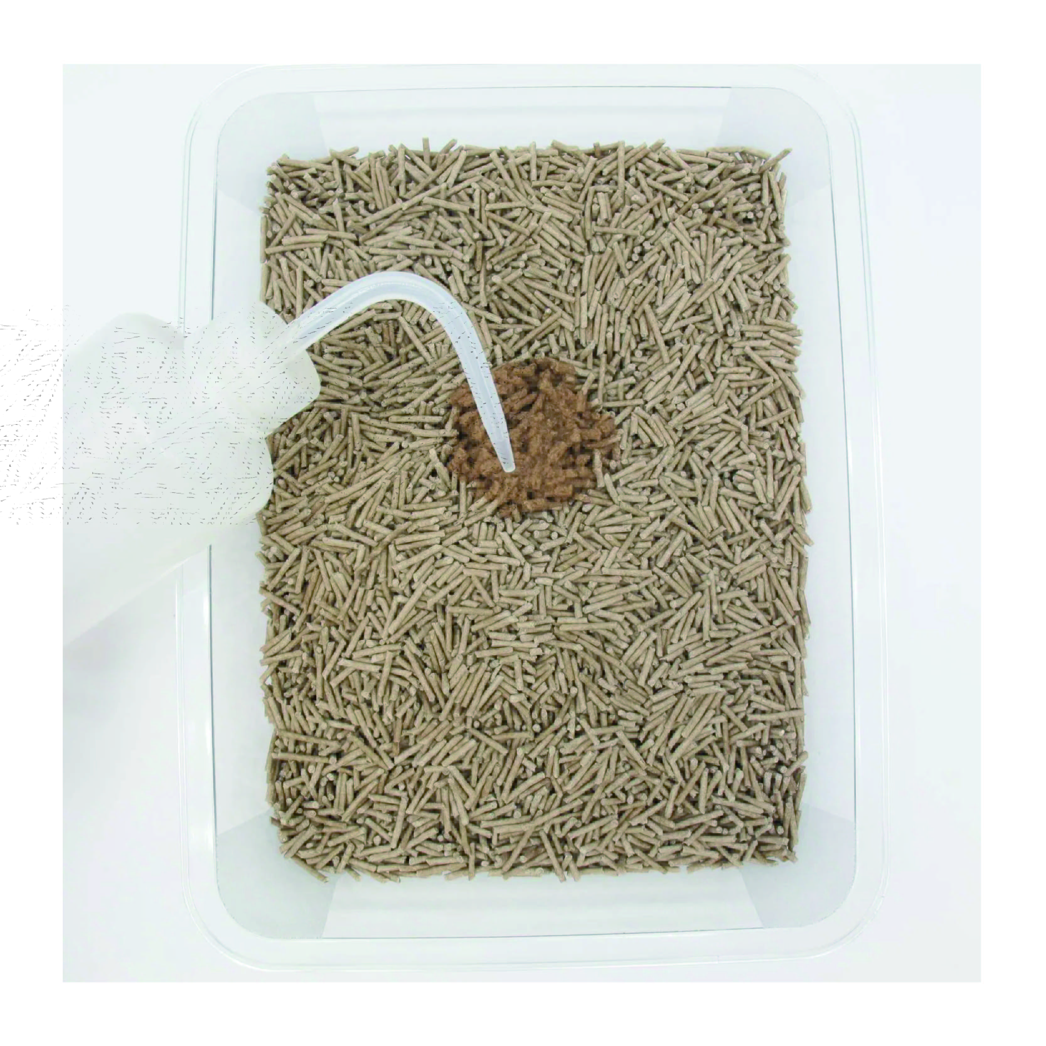 Coffee Cat Litter